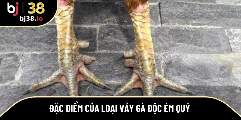 Đặc điểm của loại vảy gà độc ém quý 