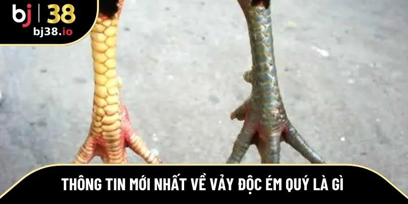 Thông tin mới nhất về vảy độc ém quý là gì 