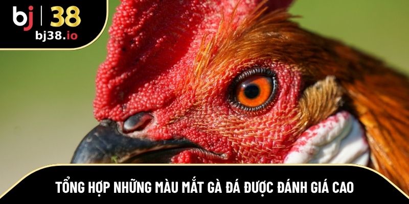 Danh sách màu mắt được sư kê đánh giá cao