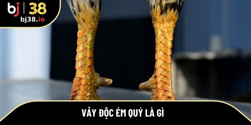 vảy độc ém quý là gì 